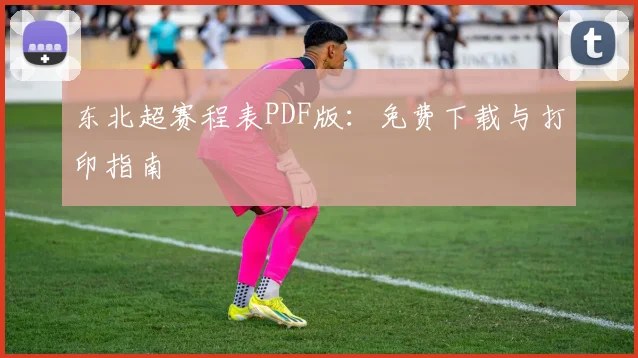 东北超赛程表PDF版:免费下载与打印指南
