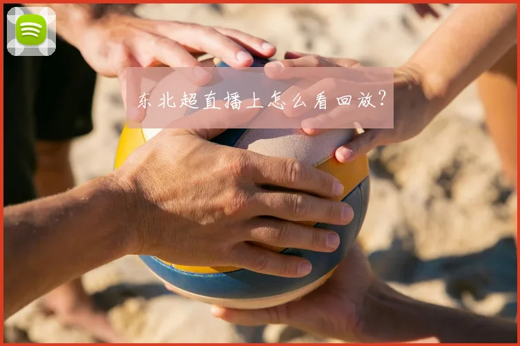 东北超直播上怎么看回放？