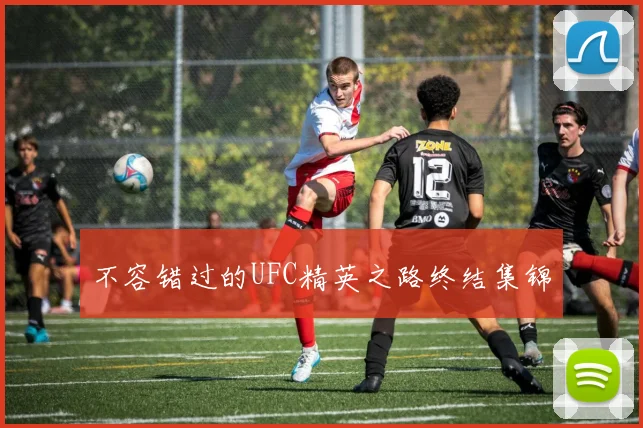 不容错过的UFC精英之路终结集锦