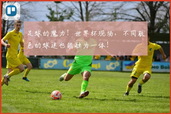 足球的魔力！世界杯现场，不同肤色的球迷也能融为一体！