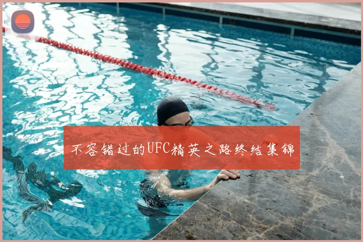 不容错过的UFC精英之路终结集锦