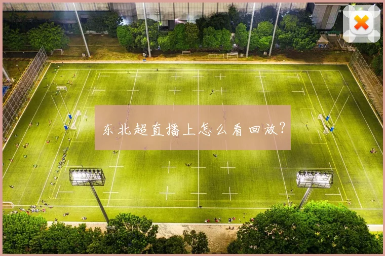 东北超直播上怎么看回放?