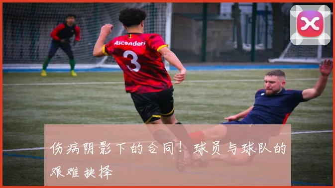 伤病阴影下的合同！球员与球队的艰难抉择